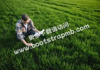 探索游戏中的自然之美 - 九游平台