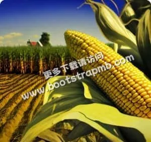 借助基础概念，重新呈现经典作品的不同侧面 - 九游平台